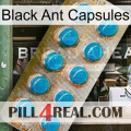 Black Ant Capsules new09